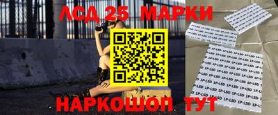 гашик Берёзовский