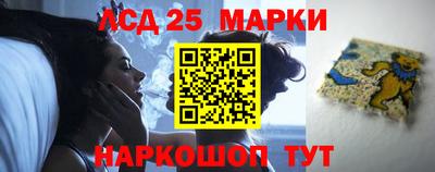 гашик Берёзовский