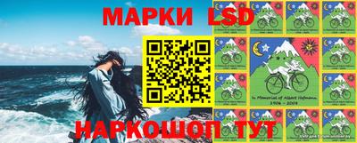 гашик Берёзовский