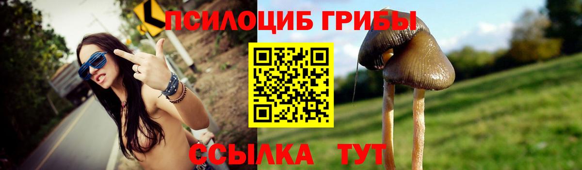 купить   Вход с VPN  Нижнекамск  Псилоцибиновые грибы мицелий 